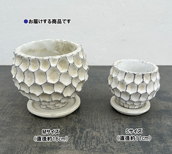 ガイヤボウル：ベージュM（直径約16cm）・皿付き