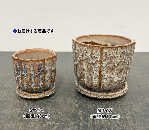 ソル：ポストS　ホワイト4615（直径8cm）・皿付