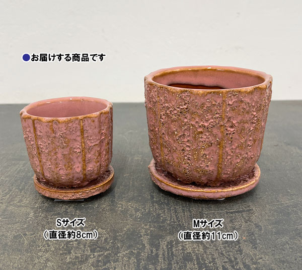 ソル：ポストS　ピンク4624（直径8cm）・皿付