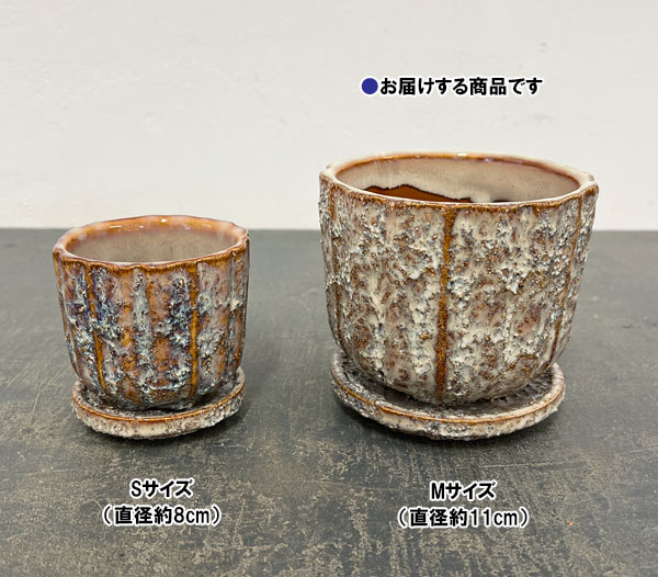 ソル：ポストM　ホワイト4614（直径11cm）・皿付