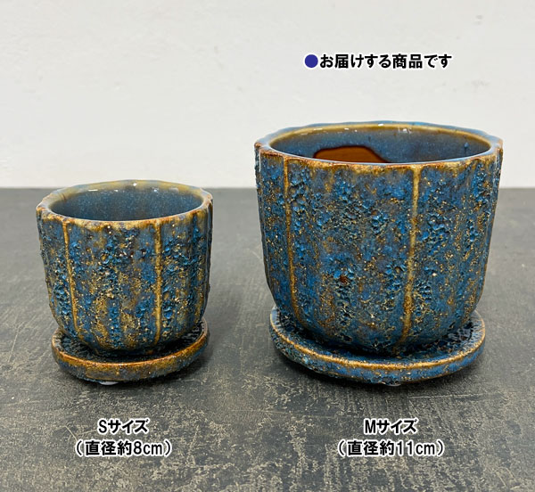 ソル：ポストM　ブルー4620（直径11cm）・皿付