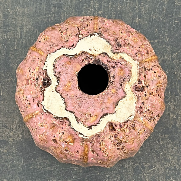 ソル：ポストM　ピンク4623（直径11cm）・皿付