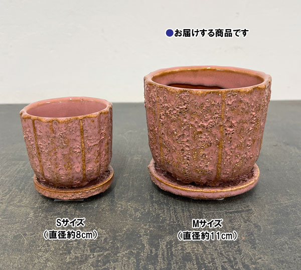 ソル：ポストM　ピンク4623（直径11cm）・皿付