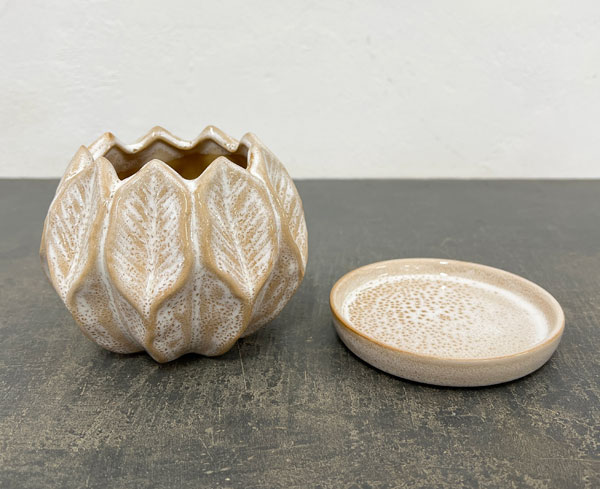 ソル：リブS　ホワイト4587（直径12cm）・皿付