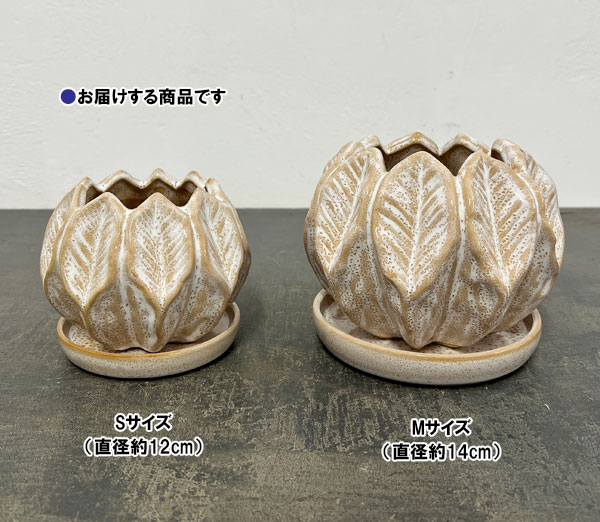 ソル：リブS　ホワイト4587（直径12cm）・皿付