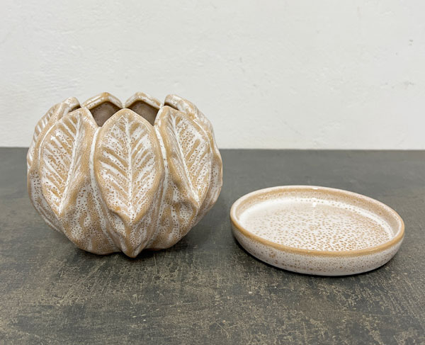 ソル:リブM ホワイト4588(直径14cm)・皿付