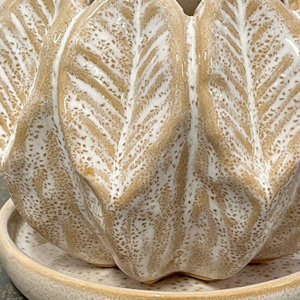 ソル:リブM ホワイト4588(直径14cm)・皿付