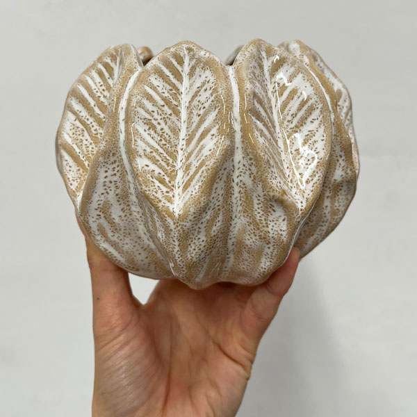 ソル:リブM ホワイト4588(直径14cm)・皿付