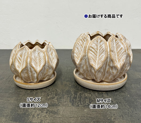 ソル:リブM ホワイト4588(直径14cm)・皿付