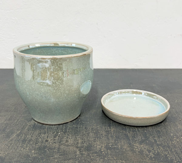 ソル：ベルS　パール4557（直径12cm）・皿付