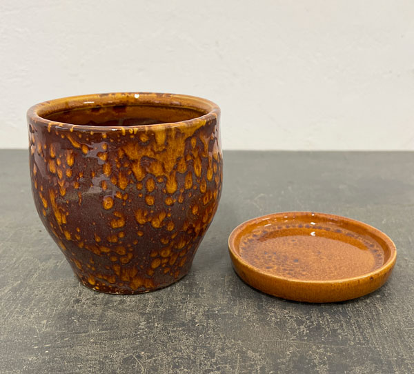 ソル：ベルS　イエロー4561（直径12cm）・皿付