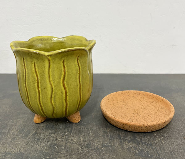 ソル：リップM　イエロー4123（直径15cm）・皿付