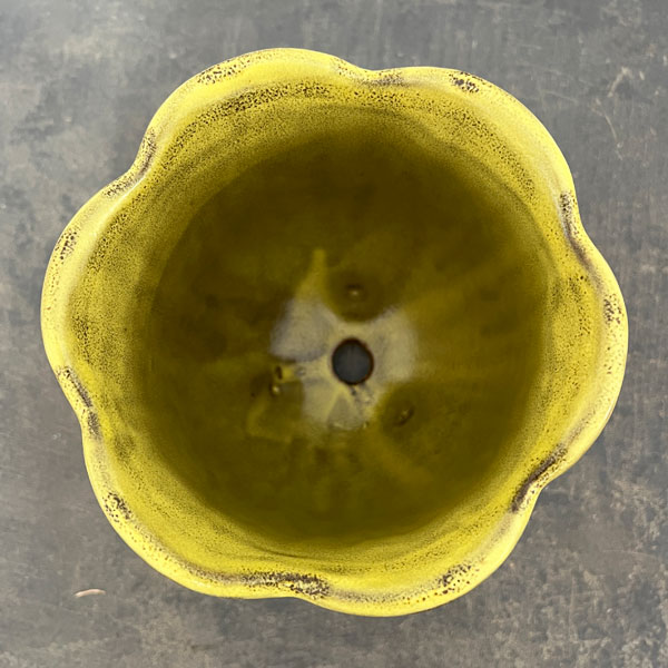 ソル：リップM　イエロー4123（直径15cm）・皿付