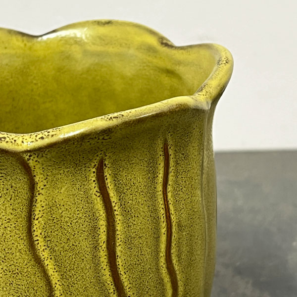 ソル：リップM　イエロー4123（直径15cm）・皿付