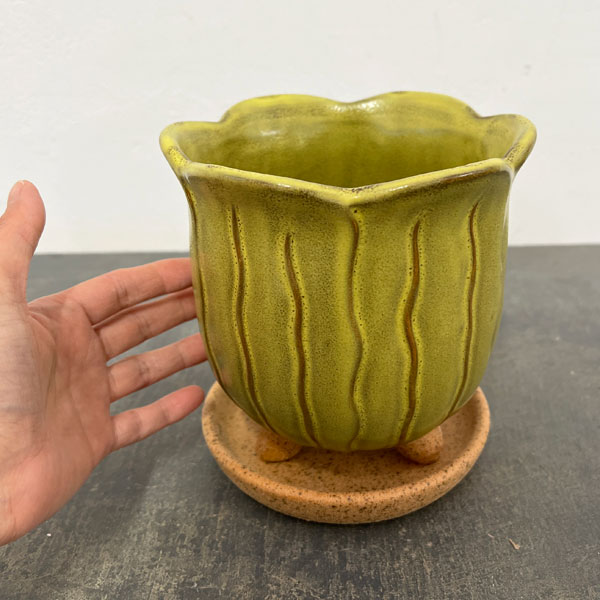 ソル：リップM　イエロー4123（直径15cm）・皿付