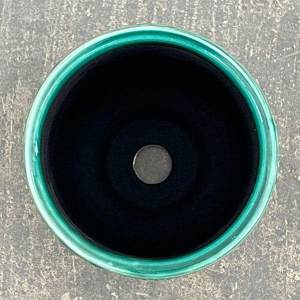 ソル:フロルミニ エメラルド4146(直径7cm)・皿付