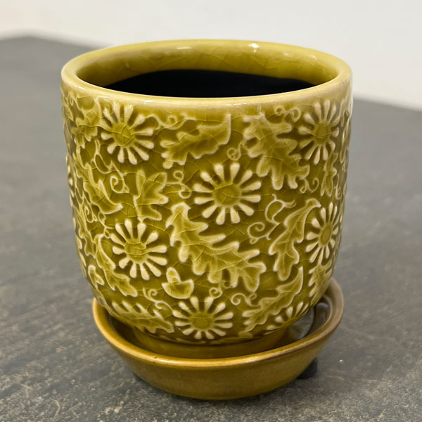 ソル:フロルミニ イエロー4145(直径7cm)・皿付