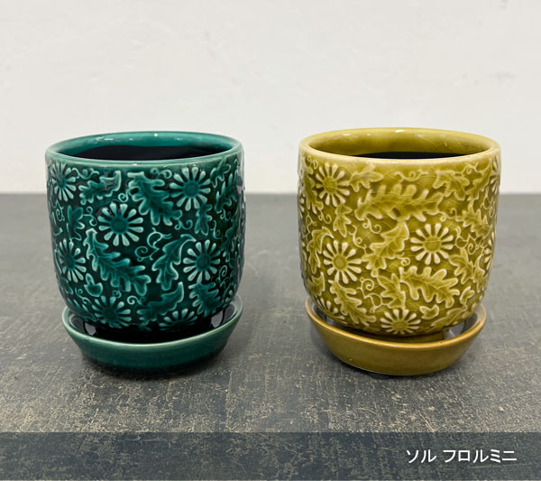 ソル:フロルミニ イエロー4145(直径7cm)・皿付