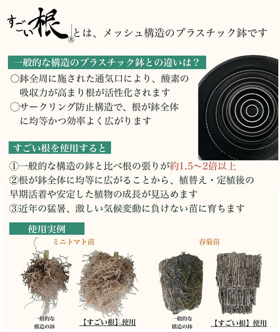 すごい根：メッシュ構造プラバチ　スクエアショート　3.5号