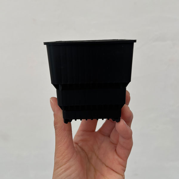 すごい根:メッシュ構造プラバチ スクエアショート 2.5号 10個入り