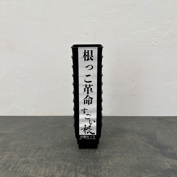 すごい根:メッシュ構造プラバチ スクエアショート 2.5号 10個入り