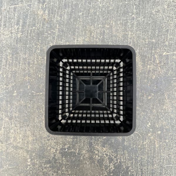 すごい根：メッシュ構造プラバチ　スクエアショート　2号　10個入り