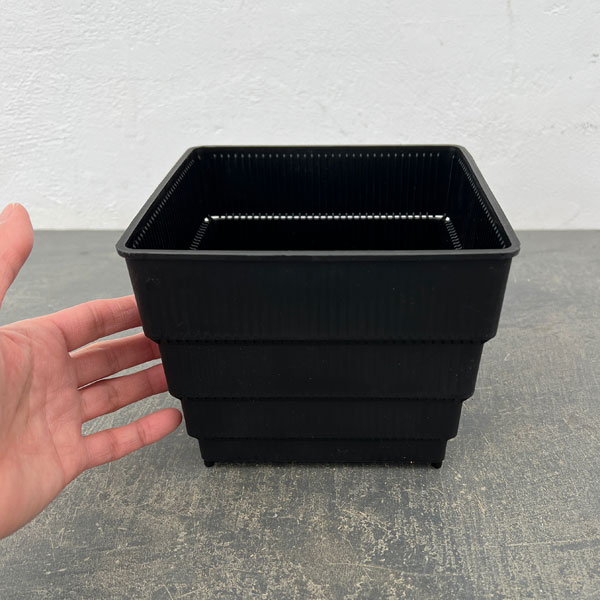 すごい根：メッシュ構造プラバチ　スクエアショート　5号