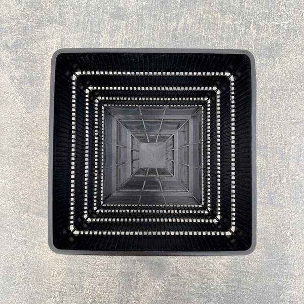 すごい根：メッシュ構造プラバチ　スクエアショート　5号