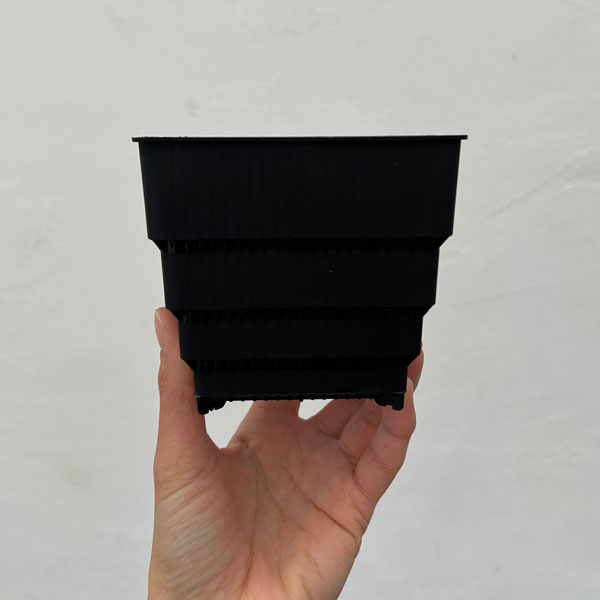 すごい根：メッシュ構造プラバチ　スクエアショート　3.5号