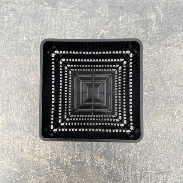 すごい根：メッシュ構造プラバチ　スクエアショート　3.5号