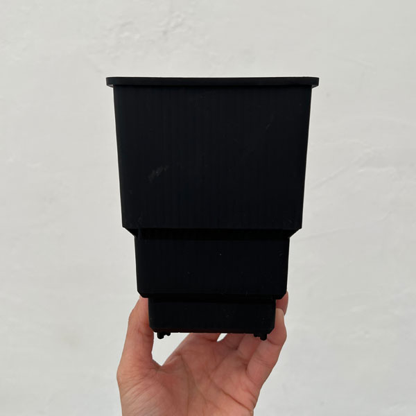 すごい根：メッシュ構造プラバチ　スクエアロング　3.5号