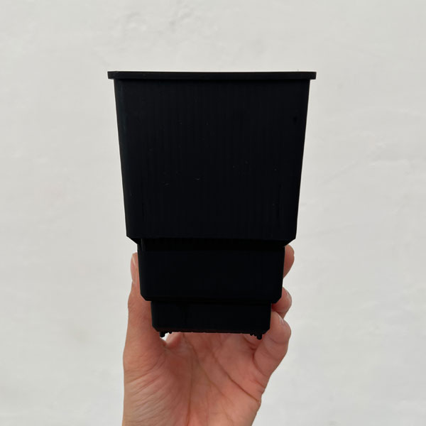 すごい根：メッシュ構造プラバチ　スクエアロング　3号