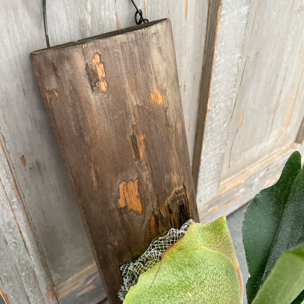 ビカクシダ（コウモリラン）：ネザーランド　長板付け