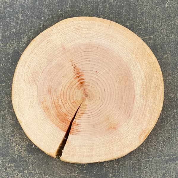 ヒノキ台 輪切り(高さ約2cm、幅約14cm)