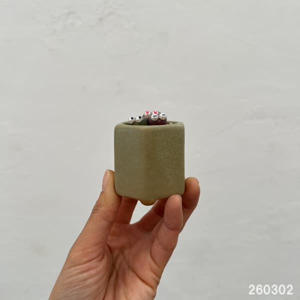 リトープス：リトープス星人　2号陶器鉢（グリーン）