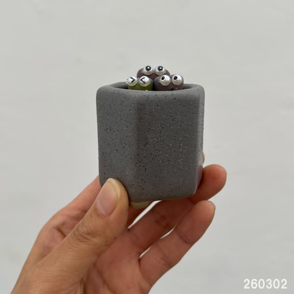 リトープス：リトープス星人　2号陶器鉢（グレー）