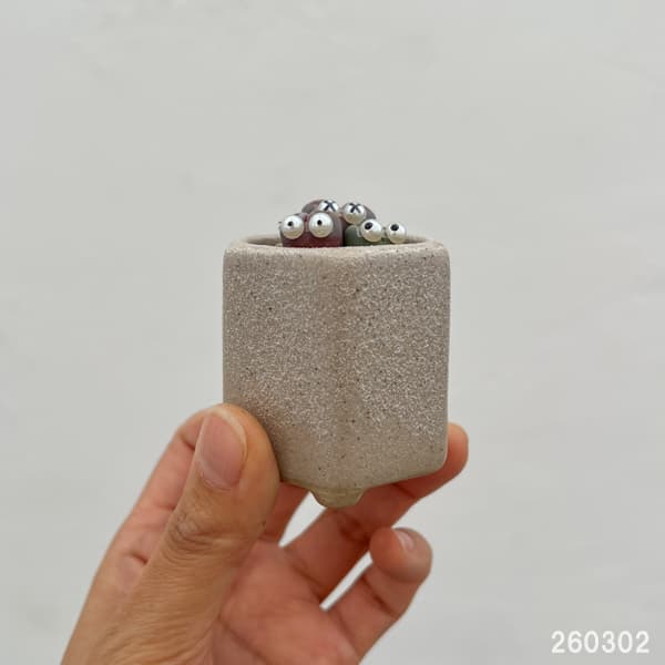 リトープス：リトープス星人　2号陶器鉢（ベージュ）