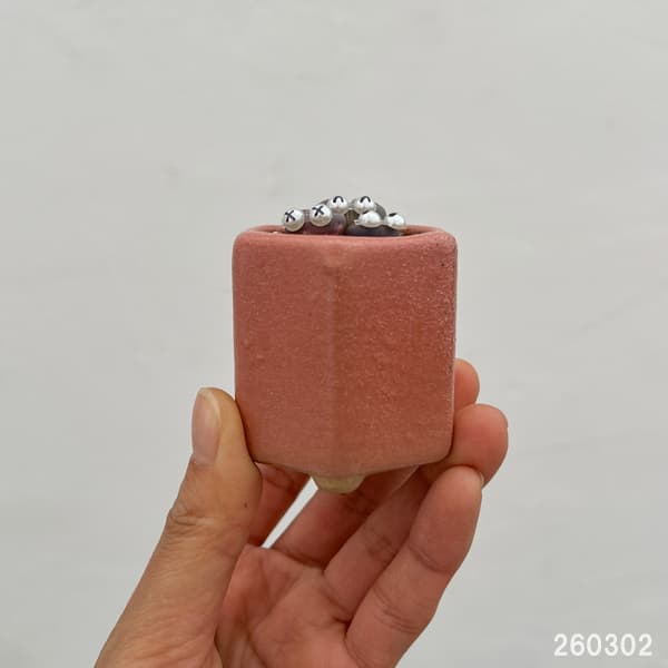 リトープス：リトープス星人　2号陶器鉢（ピンク）