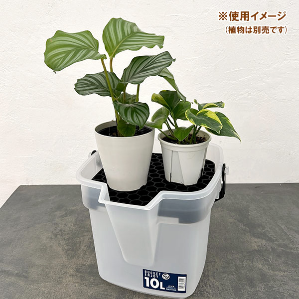 園芸ネット本店｜バケツ・エンジョイ 10L（クリア）とドレイニング