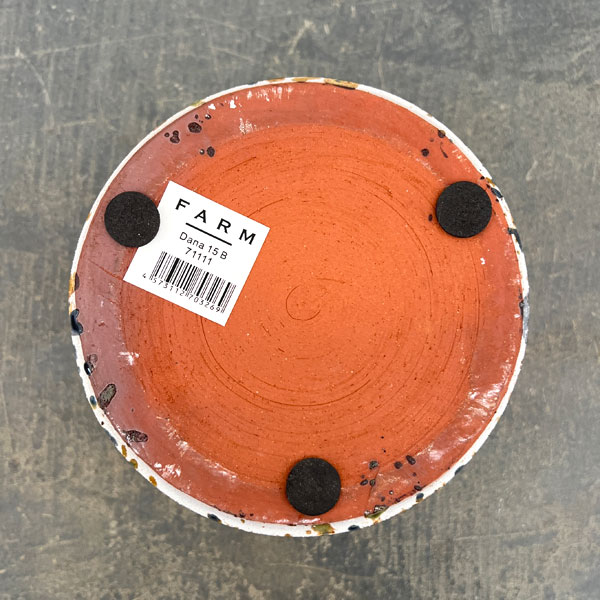 ダナ 11B（直径13.5cm）71111（底穴なし）