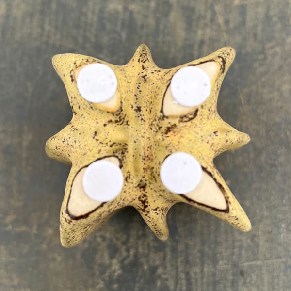 フラワーベース：ムルグ（幅・奥行8cm、高さ8.5cm）559416