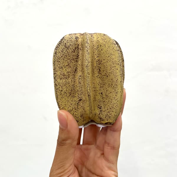 フラワーベース：ムルグ（幅・奥行8cm、高さ8.5cm）559416