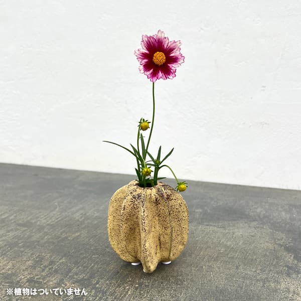 フラワーベース：ムルグ（幅・奥行8cm、高さ8.5cm）559416