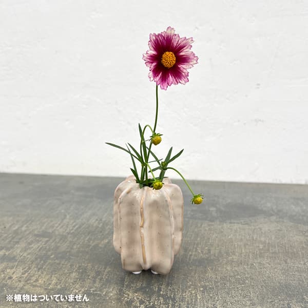 フラワーベース:トルート(幅・奥行6.5cm、高さ9cm)559413