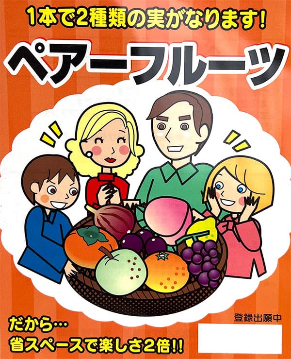 園芸ネット本店｜ペアフルーツ：リンゴ（アルプス乙女と王林）7号