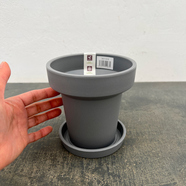 レガロリムグレイS（直径12.5cm 内径7.5cm ）・受け皿付き