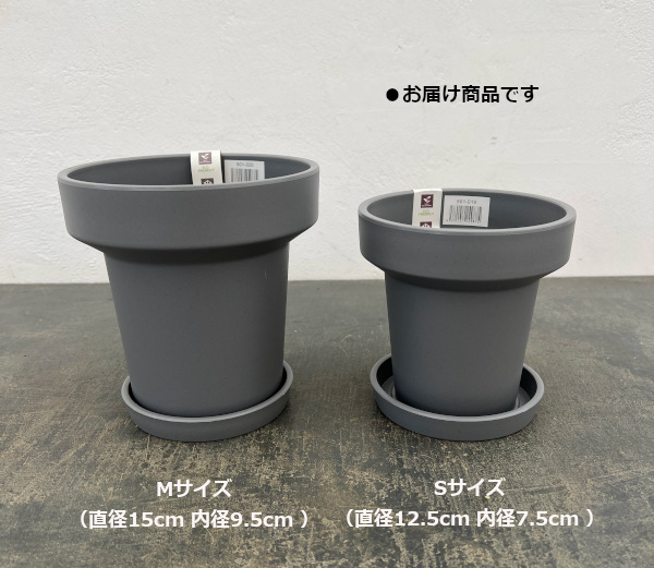 レガロリムグレイS（直径12.5cm 内径7.5cm ）・受け皿付き