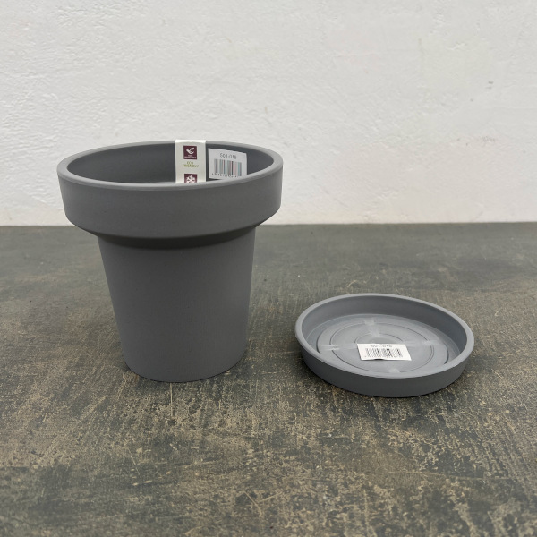 レガロリムグレイS（直径12.5cm 内径7.5cm ）・受け皿付き