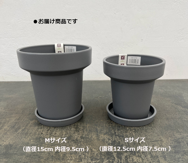 レガロリムグレイM（直径15cm 内径9.5cm ）・受け皿付き