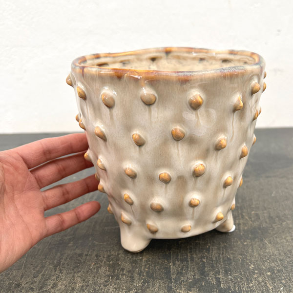 バンプホワイトM（直径14cm 高さ14.5cm）